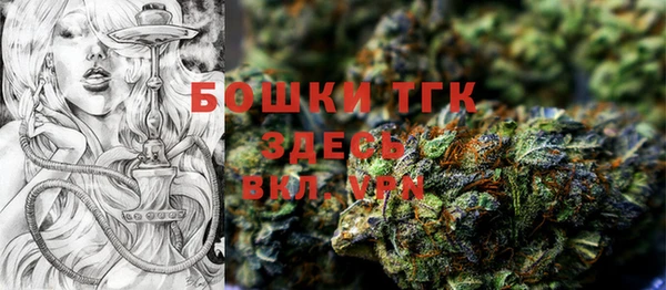 твердый Алексеевка