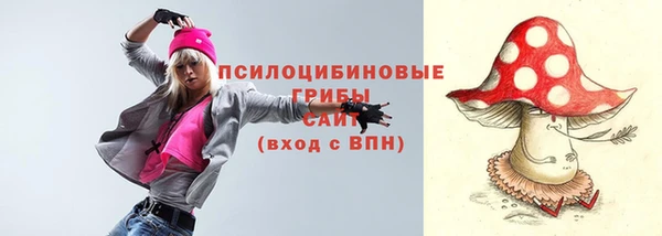 твердый Алексеевка