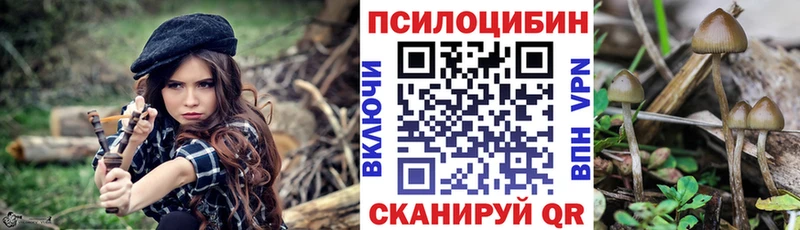 Галлюциногенные грибы GOLDEN TEACHER  Юрьев-Польский 